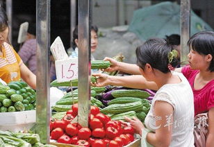 农产品打假最高奖30万元 守护农业命脉，筑牢食品安全防线