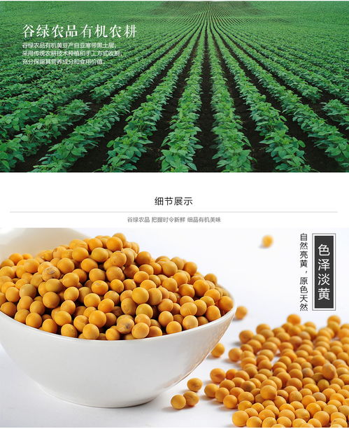 从一粒黄豆看中国农产品产业的现代化发展之路