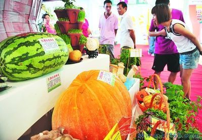 新奇农产品提前露芳颜 农业创新引领餐桌新风尚