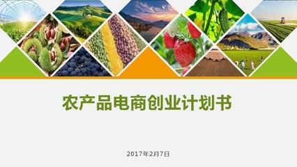 农产品电商创业计划书 构建数字化生态，赋能现代农业新未来