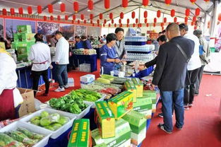 长清首届农产品展销暨旅游推介会开幕在即，诚邀您共赴田园盛宴