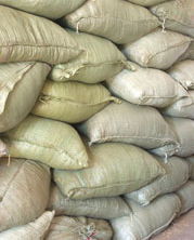 走进广龙农产品销售公司 揭秘优质花生麸及其高清视觉呈现